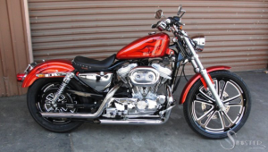 sportster-f