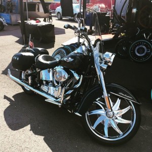 IMG 4554