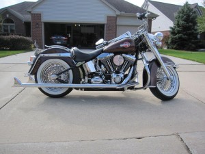 Softails-001
