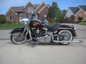 Softails-002