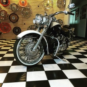 Softails-003