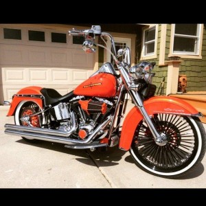 Softails-004