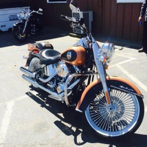 Softails-005