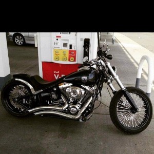 Softails-006