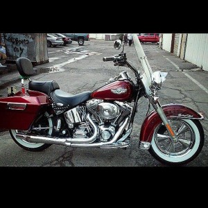 Softails-007