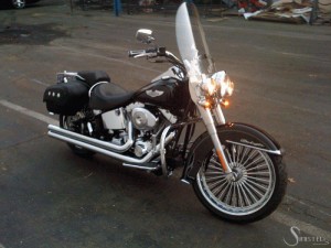 Softails-015