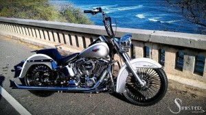 Softails-023