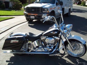Softails-025