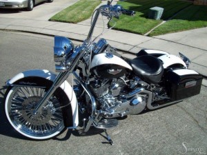 Softails-026