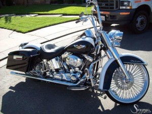 Softails-027