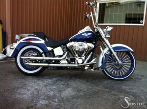 Softails-031
