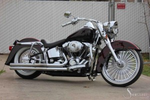 Softails-032