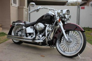 Softails-035