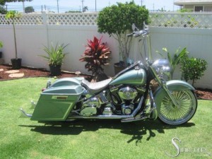 Softails-036