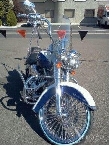 Softails-039