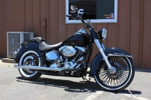 Softails-041