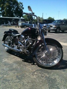Softails-048