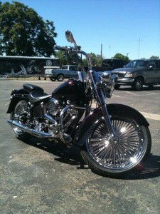 Softails-049