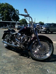 Softails-050
