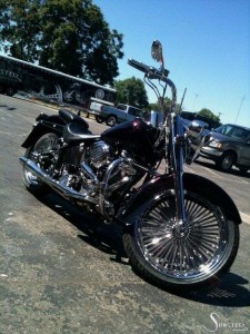 Softails-051