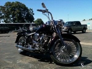 Softails-053