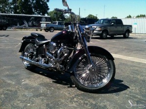 Softails-055