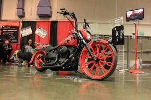 Softails-059