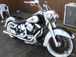 Softails-068