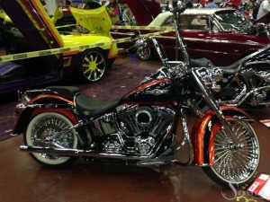 Softails-070