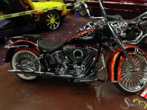 Softails-071