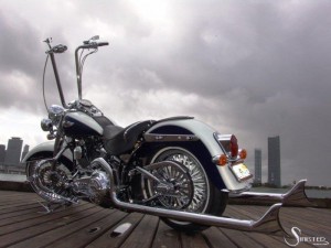 Softails-076