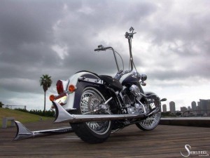 Softails-077