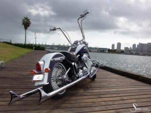 Softails-078