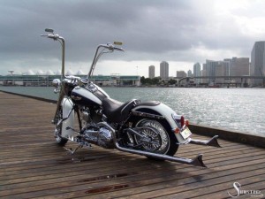 Softails-081
