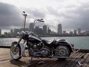 Softails-082