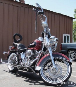 Softails-089