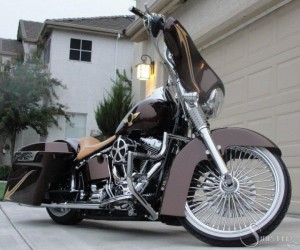 Softails-091