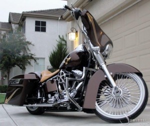 Softails-092
