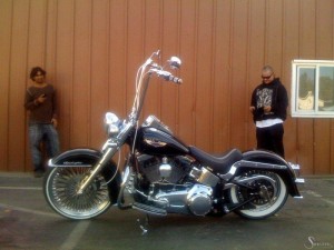 Softails-118