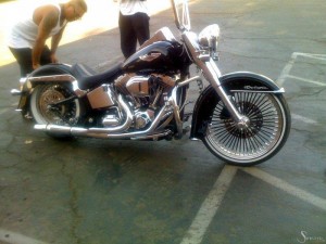 Softails-119