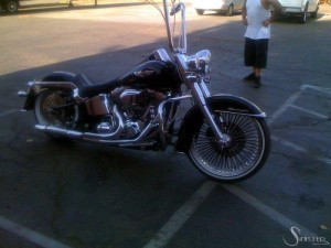 Softails-120