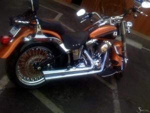Softails-121