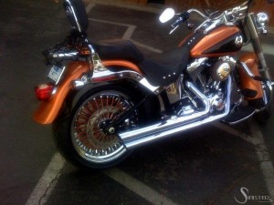 Softails-122