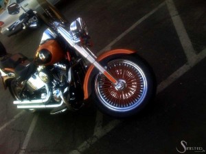 Softails-123