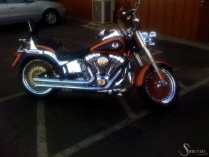 Softails-124