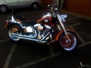 Softails-125