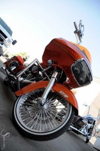 Softails-128