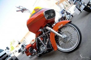 Softails-129