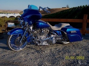 Softails-133