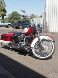 Softails-135